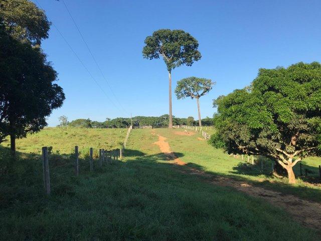 Fazenda no Acre - Foto 8