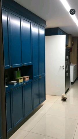 APT/ DIONÍSIO TORRES/ 230 m2 - Foto 14