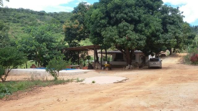 Sítio Próximo ao Trevo de Pacas X Colatina - Foto 7