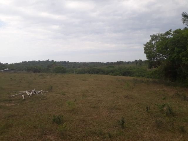 Chácaras Janauary - Foto 5