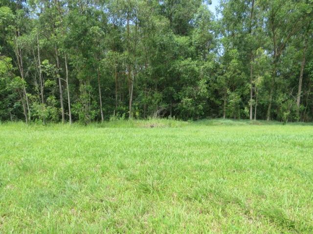Terreno ninho verde, com fundo para área verde, 450 m², Imobiliária Paletó - Foto 3