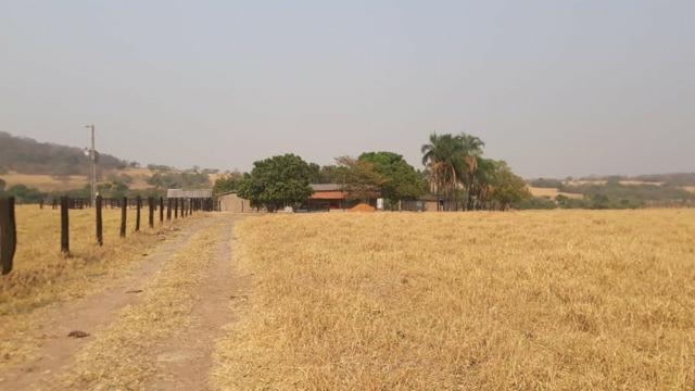 Fazenda no município de Edeia - GO