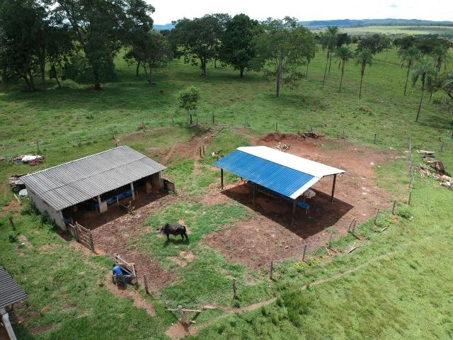 Fazenda 16,5 Alq - 50km de Goiânia - Hidrolândia - Entrada exclusiva - a 4 km da Rodovia - Foto 8