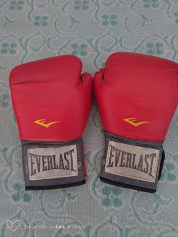 luva de muay thai everlast feminina