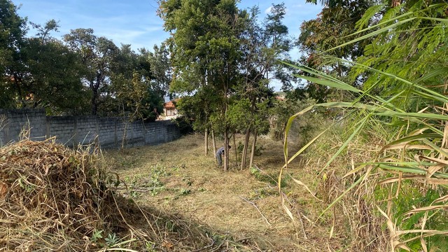 foto - Lagoa Santa - Jatobá