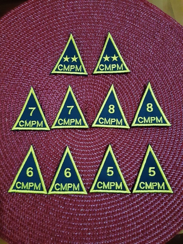 Par de Divisas do colégio Militar da PM 