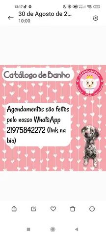 Cãobelereiro Banho & Tosa