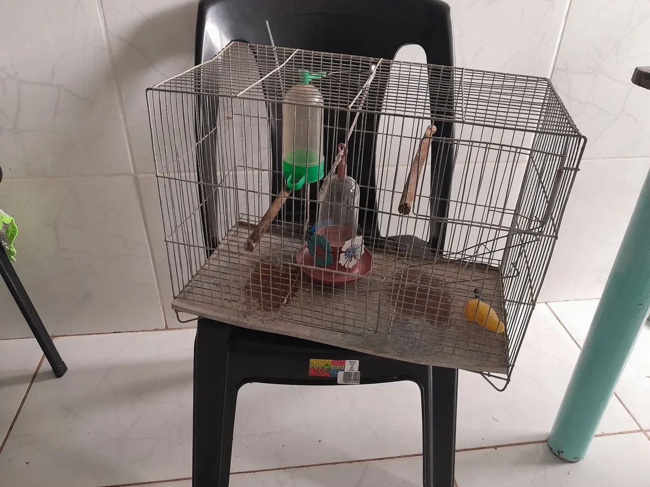 Gaiola para pássaros - Foto 2