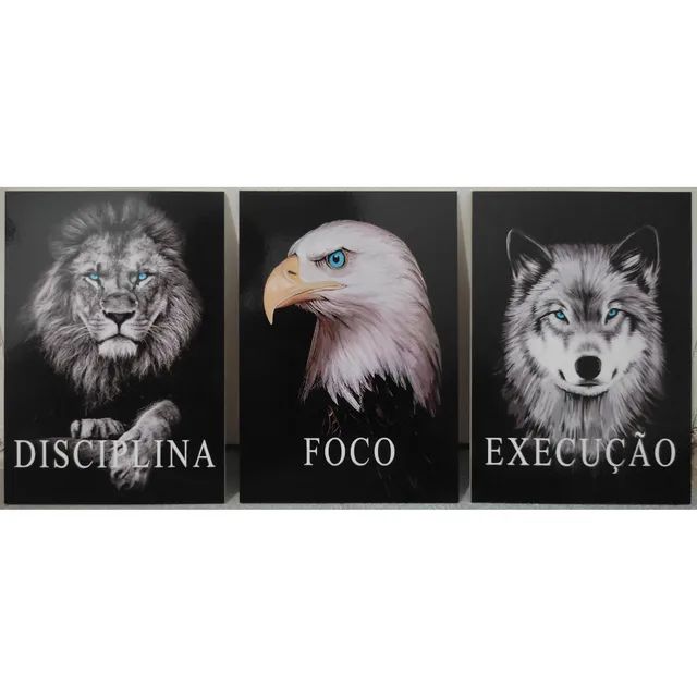 Kit quadros Decorativos 7