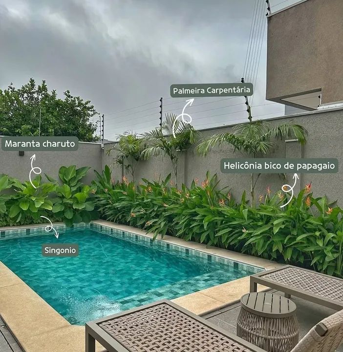 PAISAGISMO, JARDINAGEM EM GERAL - Foto 4