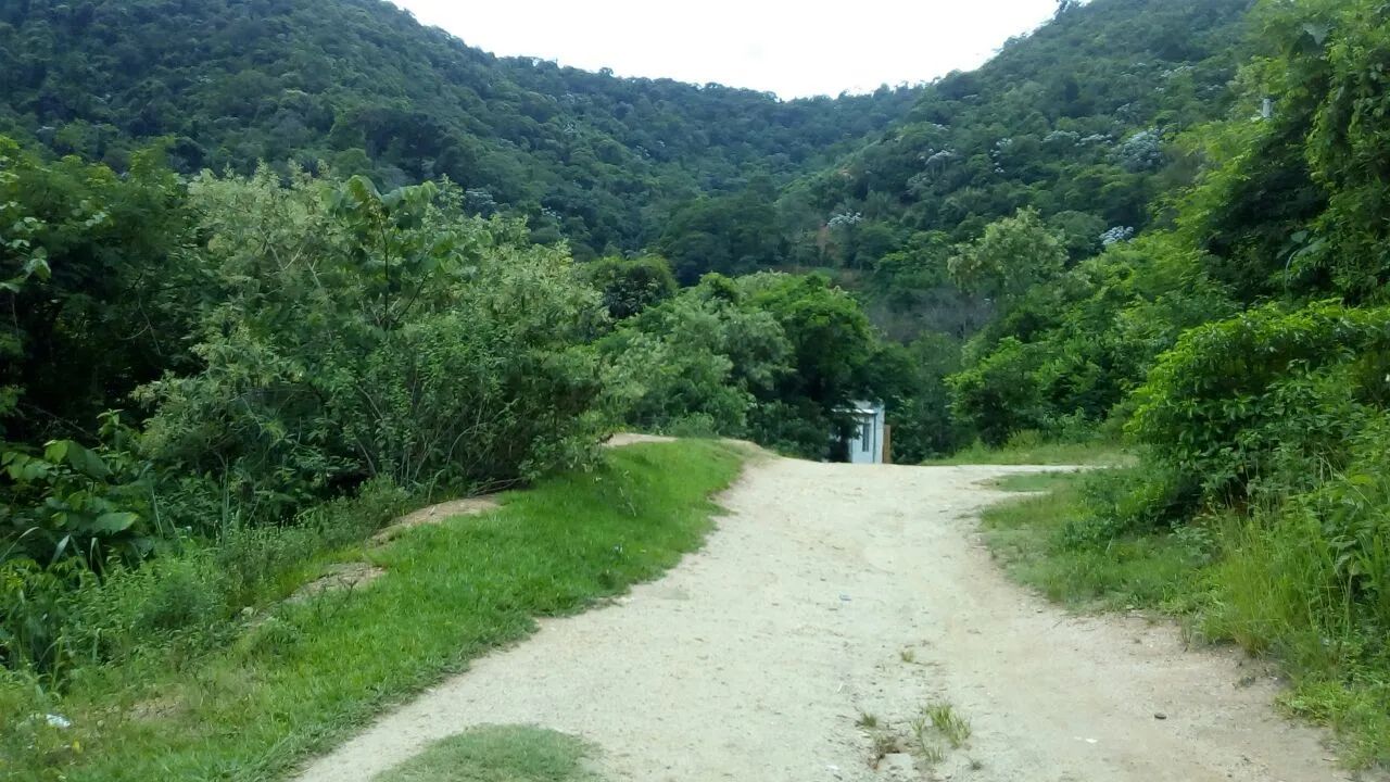 Freguesia-Jacarepaguá - Junto a Estrada Pau Ferro-Terreno 1.462 m2 - RJ - Foto 3