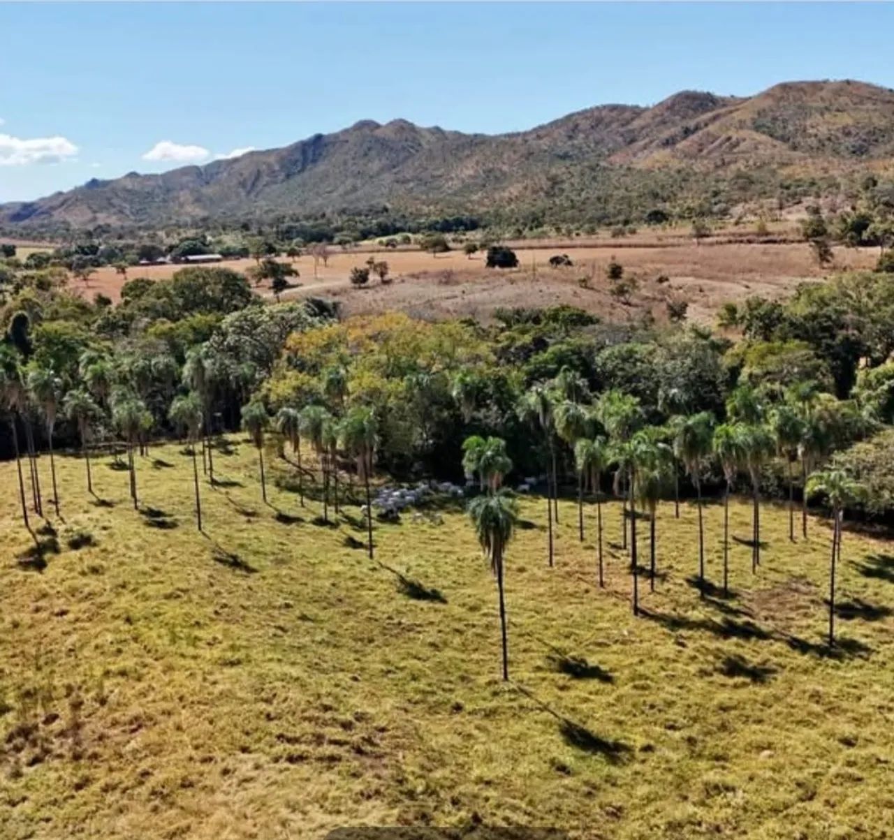 Fazenda de 51 alqueires  - Foto 3