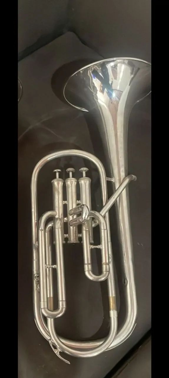 Sax horn weril