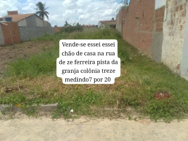 lote
