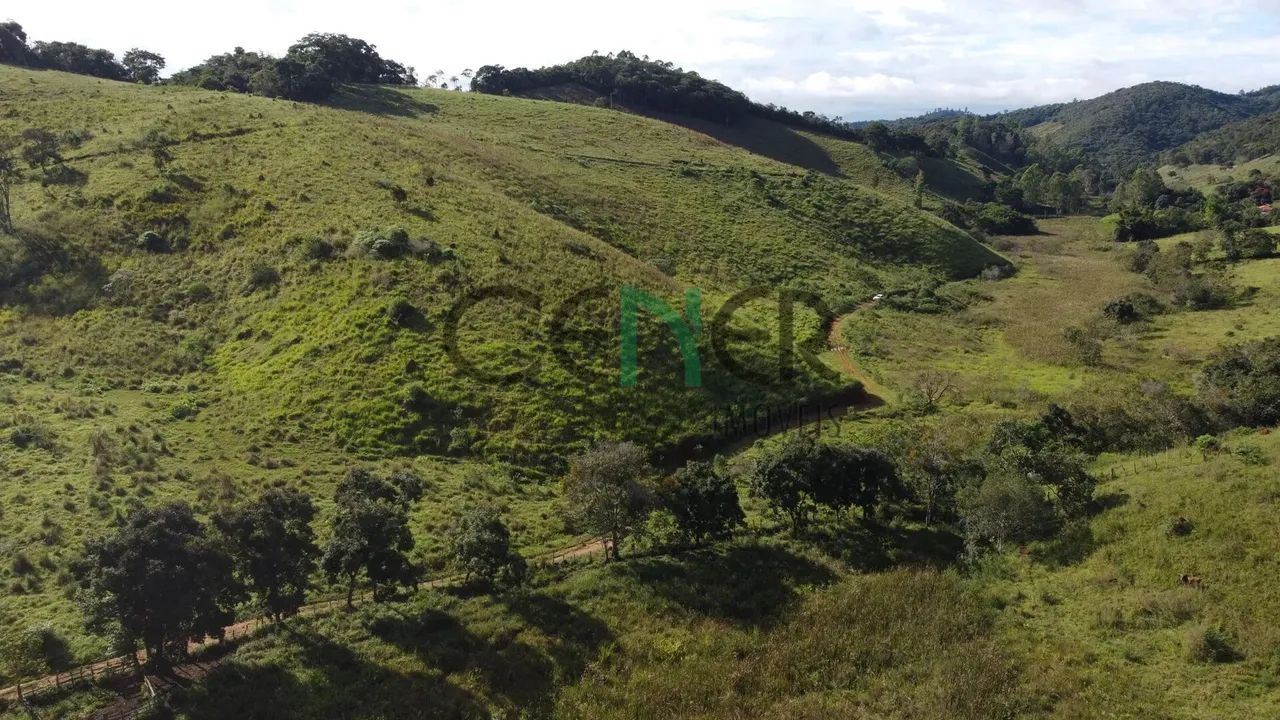 Fazendinha muito boa de 29 ha na região de Cons Lafaiete MG - Foto 3