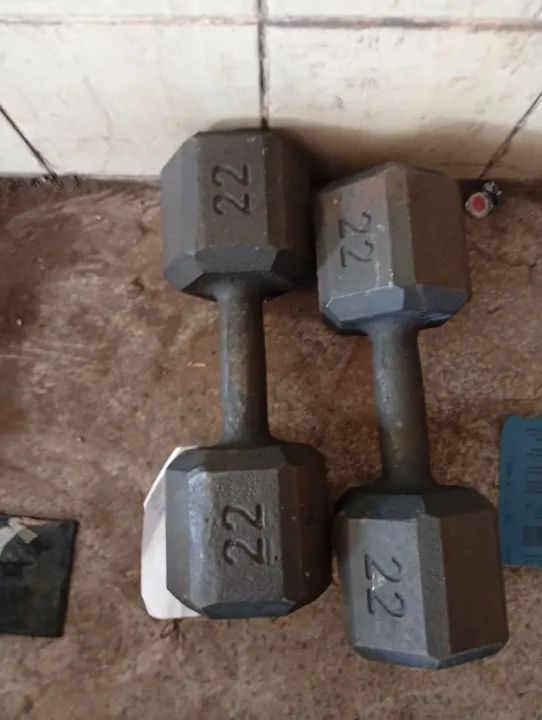 Par de Halteres 22kg