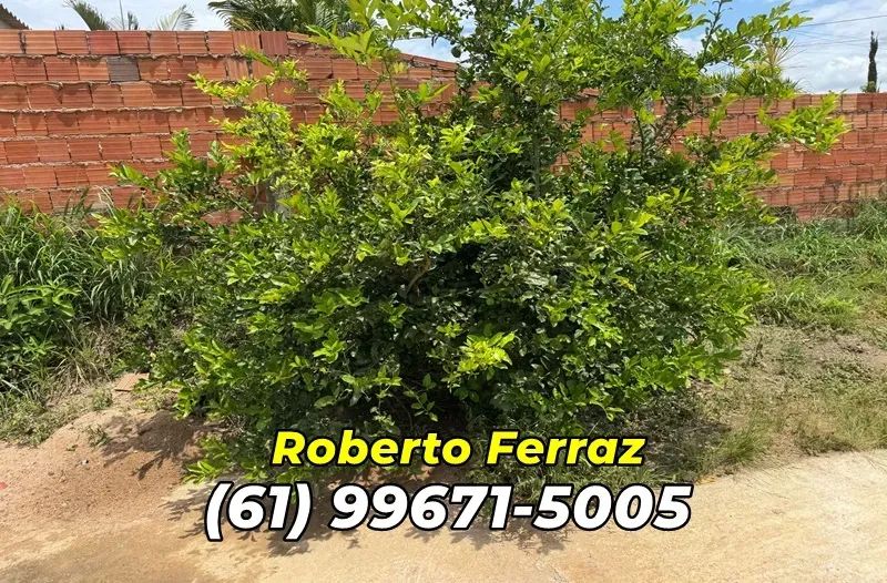 Nautico Tarumã  - Corumbá 4 - Casa com 05 Suítes e *Piscina. - Foto 4