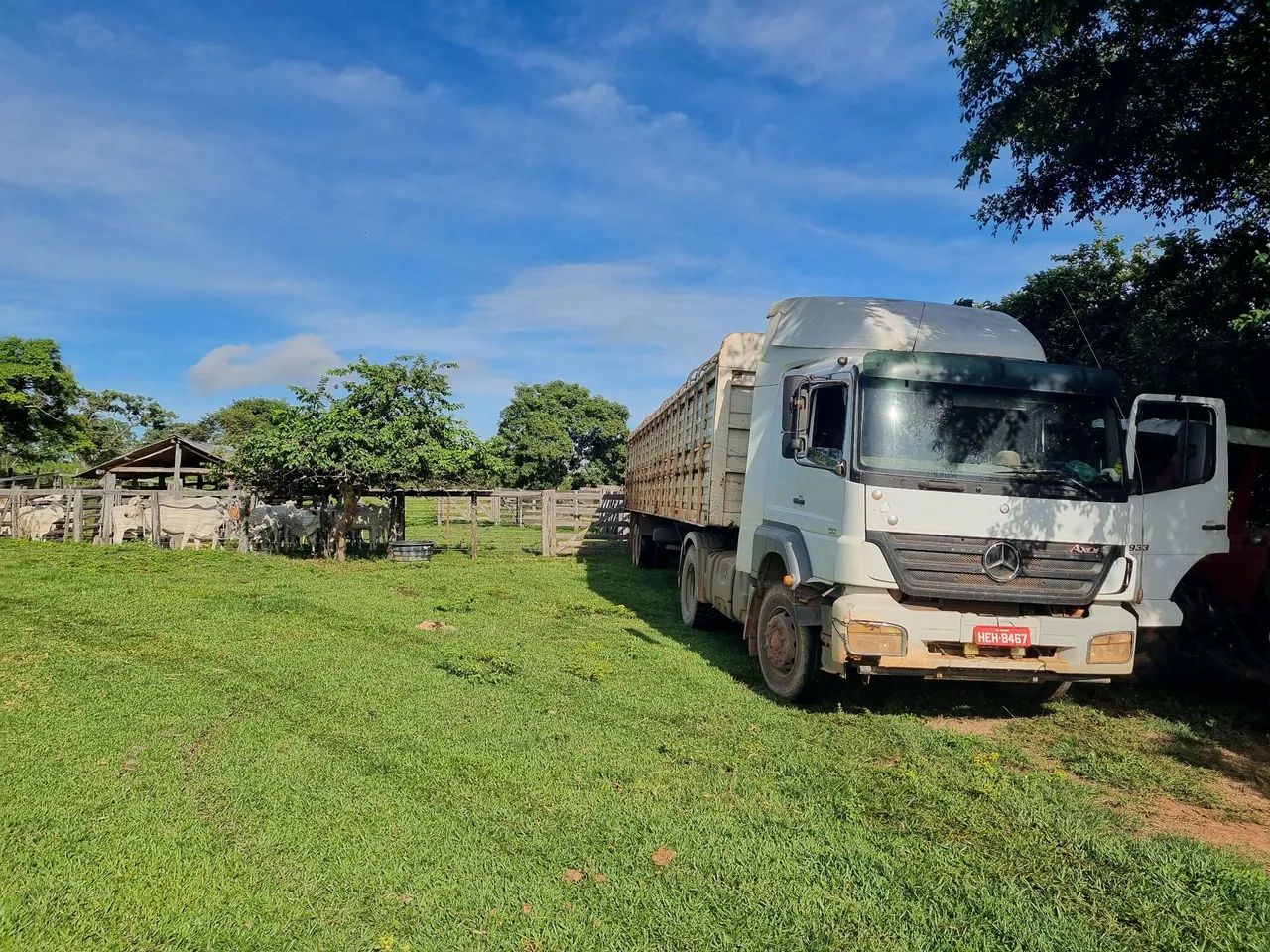 OPOTUNIDADE!! Fazenda 202 Hectares Arinos-MG - Foto 2