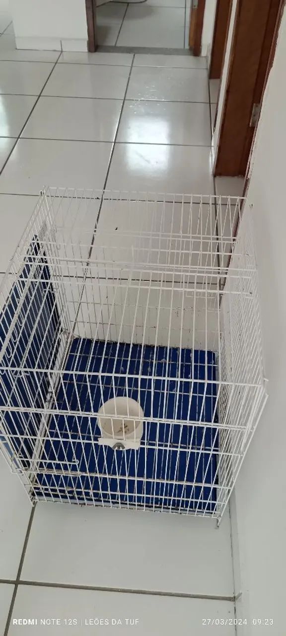 Gaiola para pagaio calopsitas 