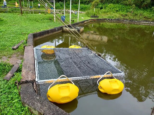 Gaiola em inox para peixes, piscicultura 2 m x 2 m x 1,5 m - Foto 4