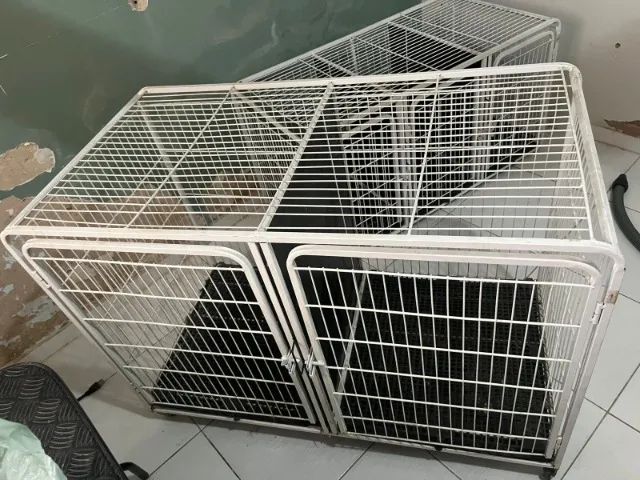 Canil gaiola modular Duplo Petshop Veterinária Branco - Foto 2