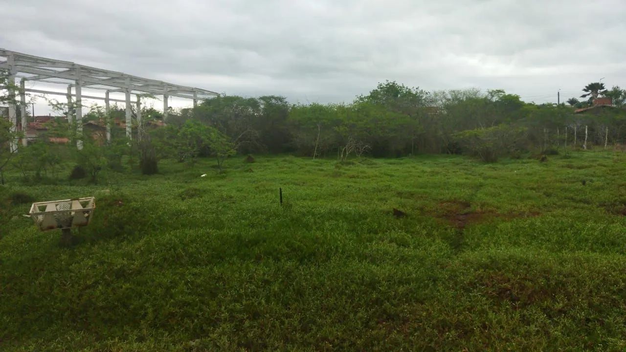Terreno plano com área verde em ótima localização - Foto 4