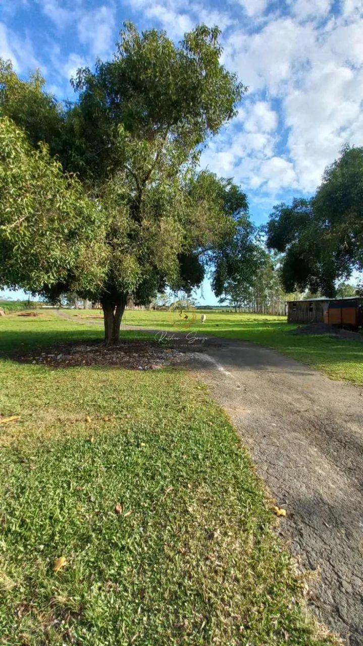 Sítio usado à venda em Nova Santa Rita, Porto da Figueira REF: CS0108 - Foto 4