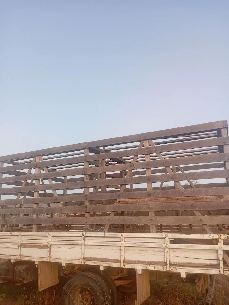 Vende-se Boiadeira de F4000 Madeira Boa - Foto 2