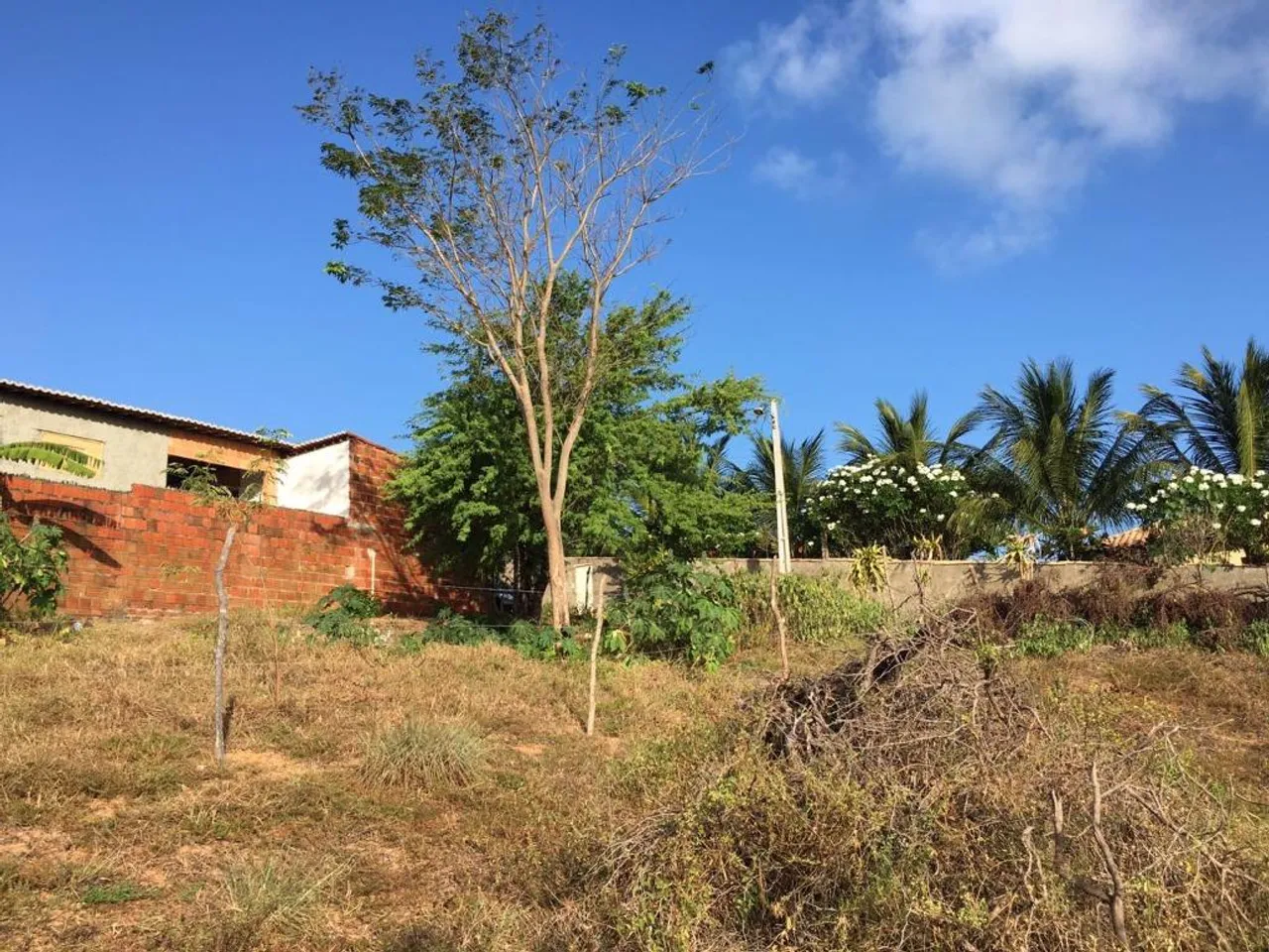 Chácara com 1 dormitório à venda, 46100 m² por R$ 530.000,00 - Pirangi do Norte (Distrito