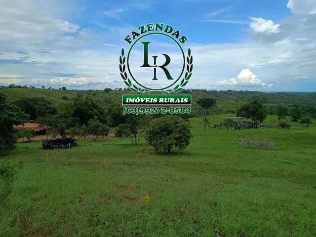 Fazenda 25 Alqueires  ( 121 hectares) Próximo a Palmas - Foto 2