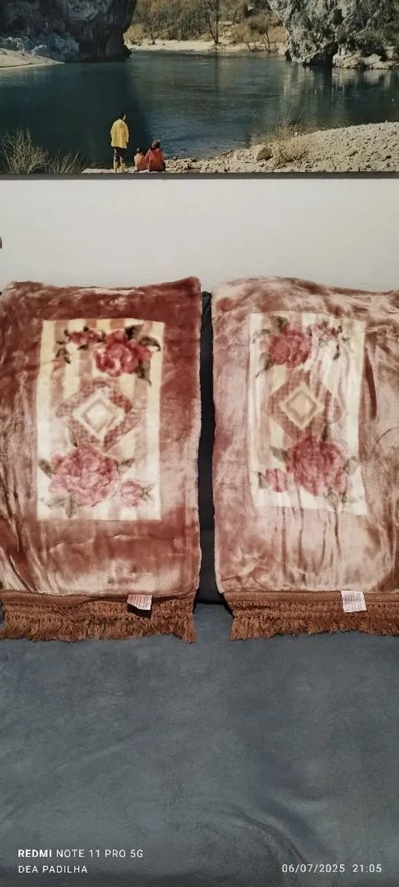 2 Capas de Travesseiro Cobertor de Veludo com Detalhes Florais
