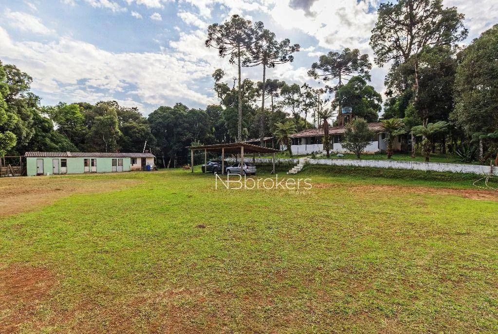 Chácara com 3 dormitórios à venda, 20000 m² por R$ 800.000,00 - Área Rural de São José dos - Foto 3