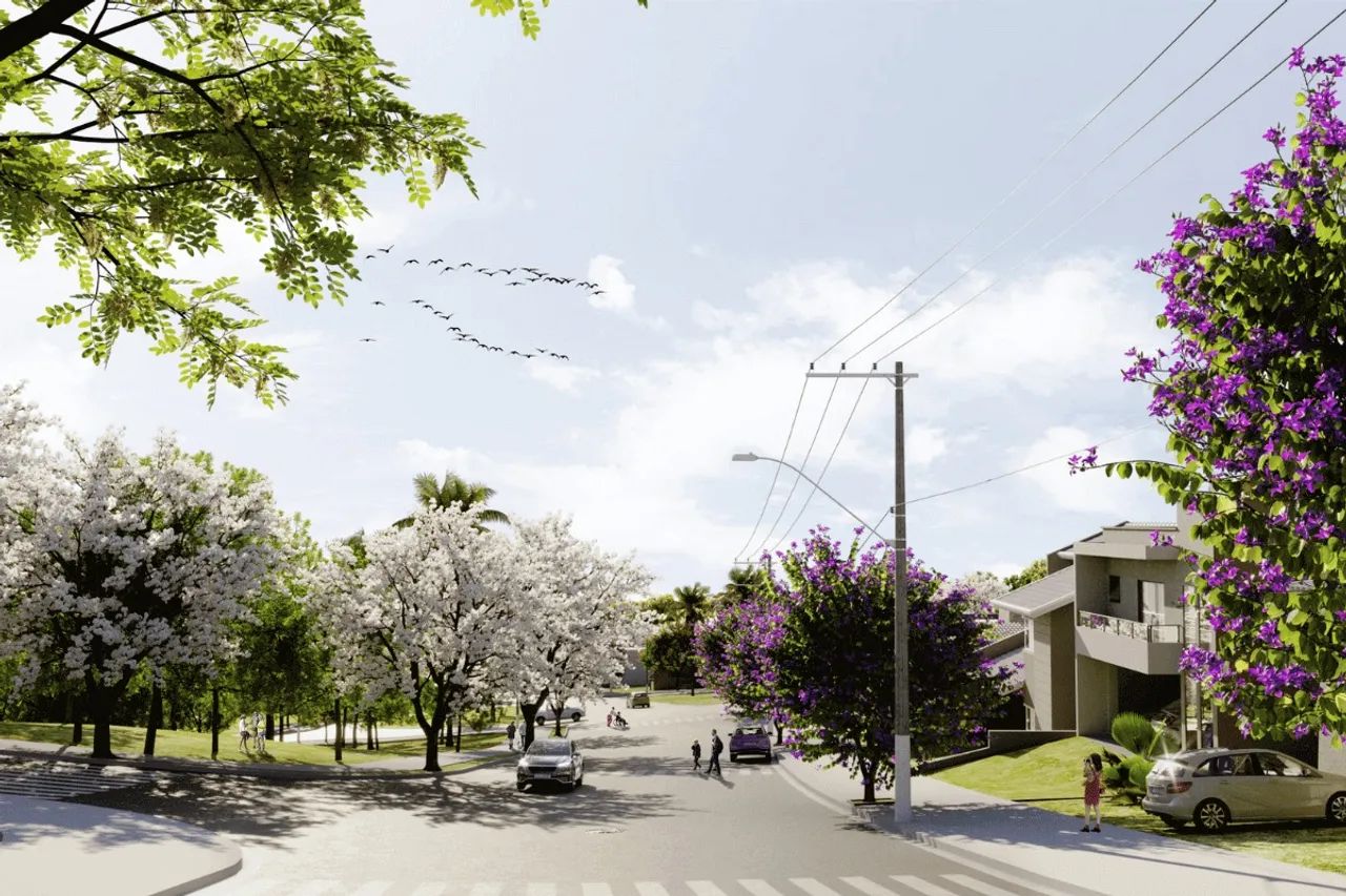 foto - Ribeirão Preto - Bonfim Paulista