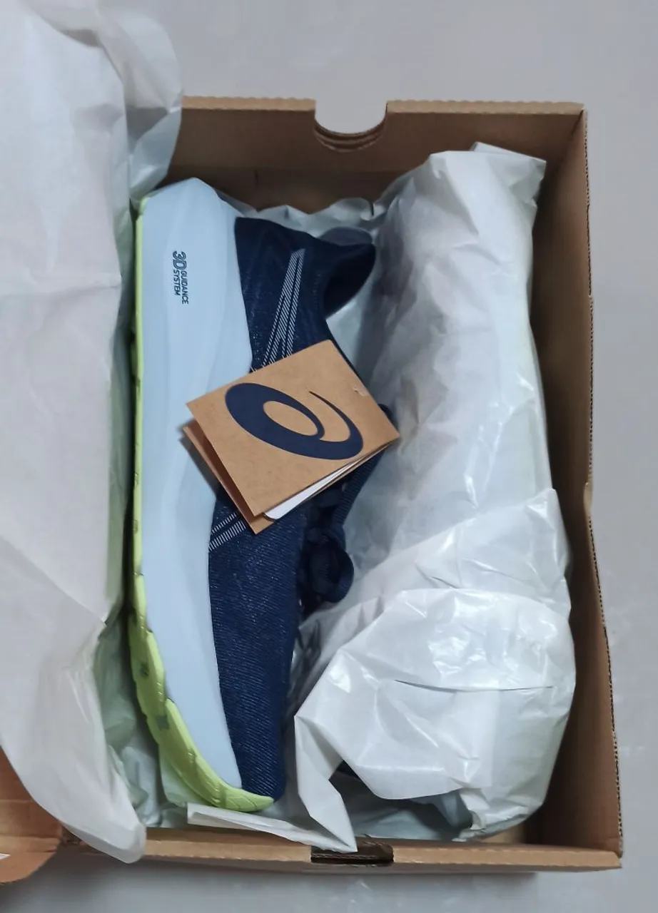 Asics GT 2000 13 novo!