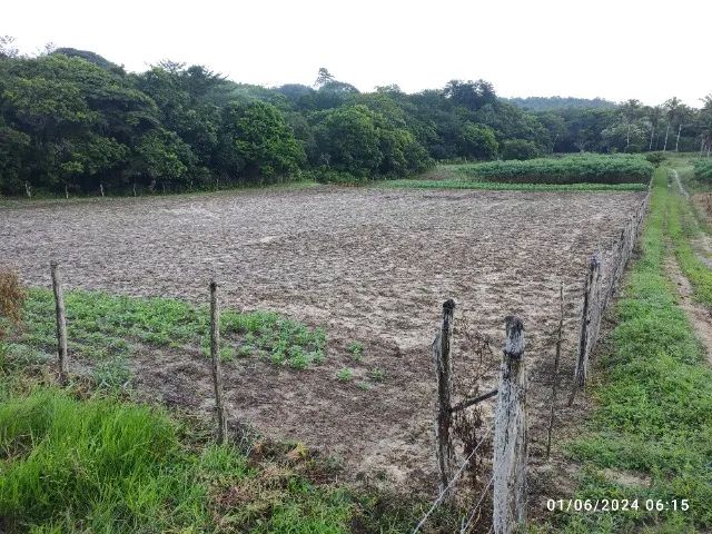 SÍTIO 10 TAREFAS em SALGADO - Próx. ao parque Timbó - Foto 5