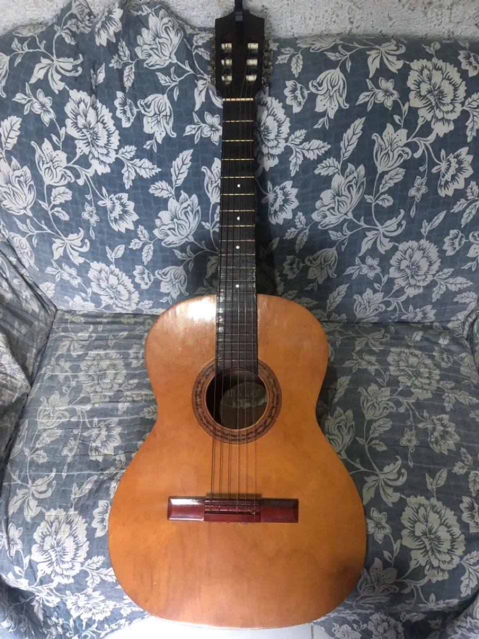Vilão acústico Giannini Trovador