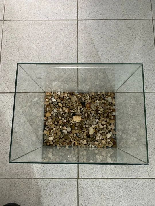 Aquário de vidro 40x40cm  - Foto 2