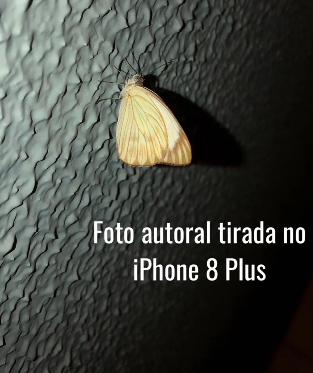 iPhone 8 Plus Usado 256 GB - Foto 4