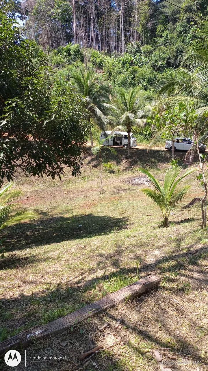 Foto - Manaus - Cidade Nova