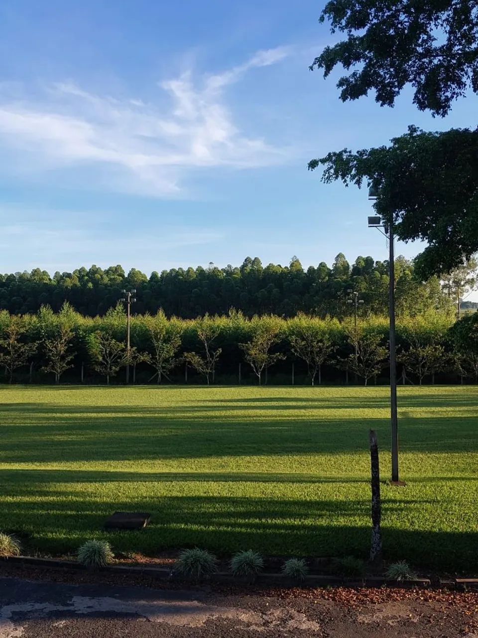 Celular Samsung M23 5G - Foto 4