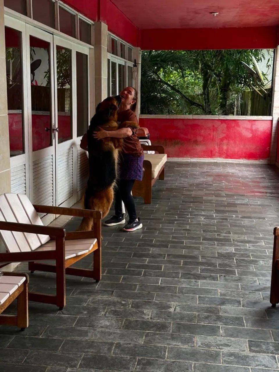 Adestramento e passeio - Foto 3