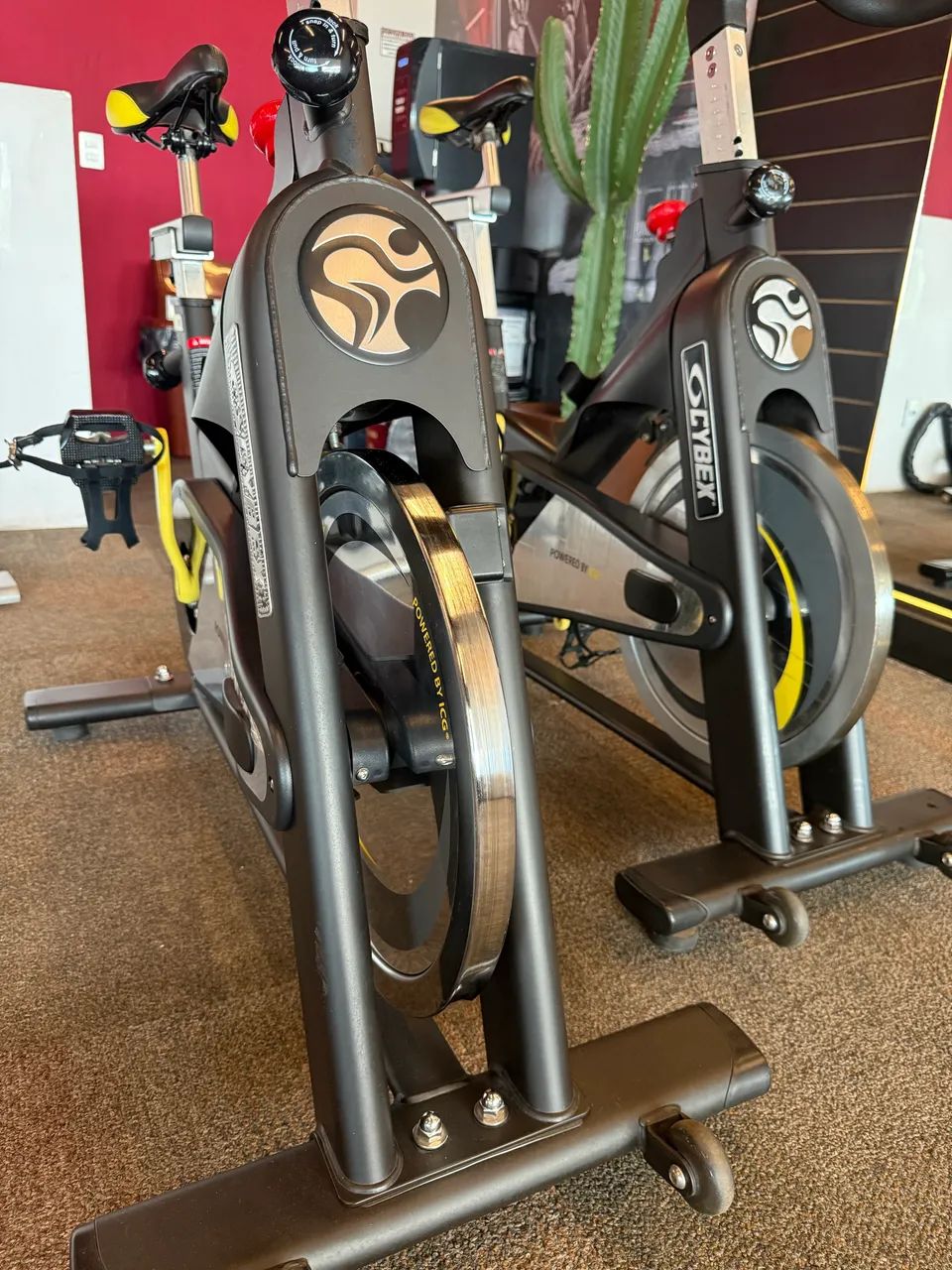 Bicicleta de Spininng Profissional Cybex - Foto 2
