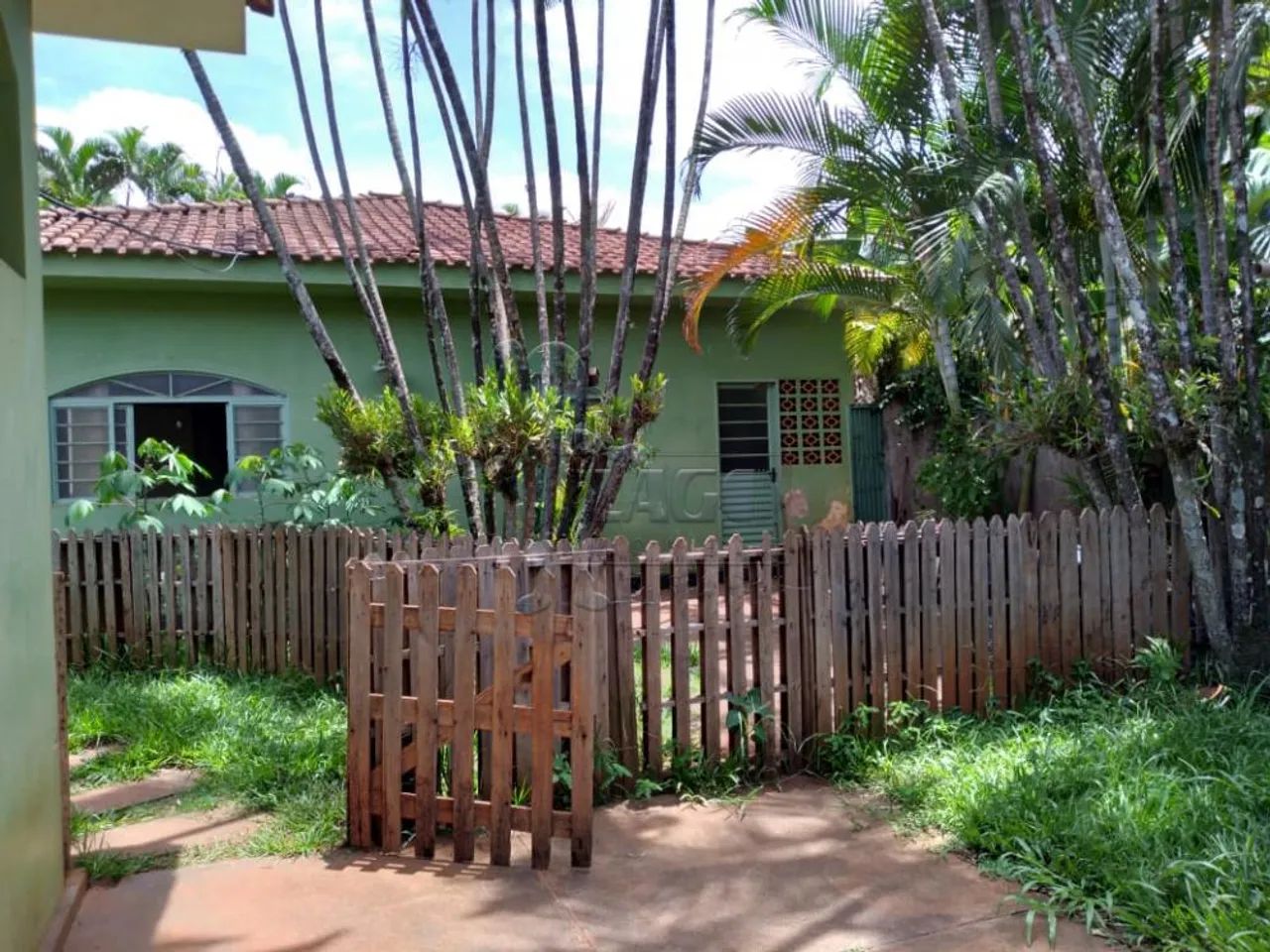 Sítio de 5.000m² com 03 quartos à venda