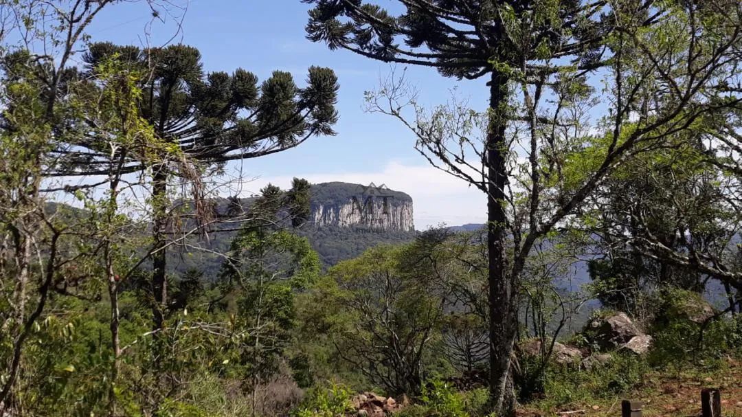 Área de terra a venda em Nova Petropolis.RS Ref.:20