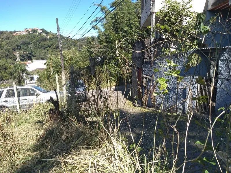 Terreno- Petrópolis, Centro - Foto 4