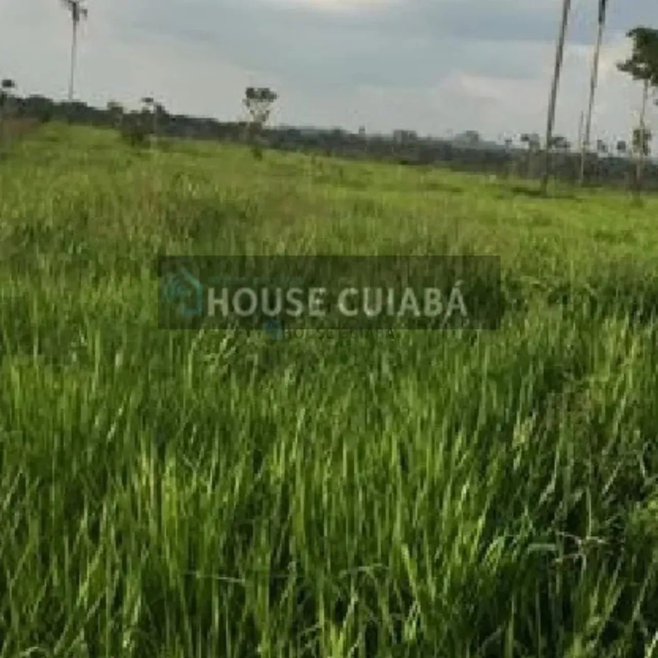 FAZENDA PARA VENDA NO PARÁ - Foto 2