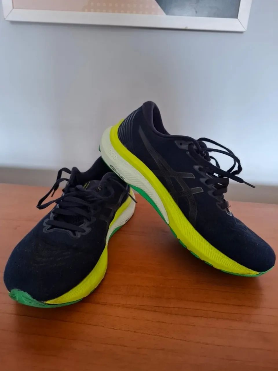 Asics GT 2000