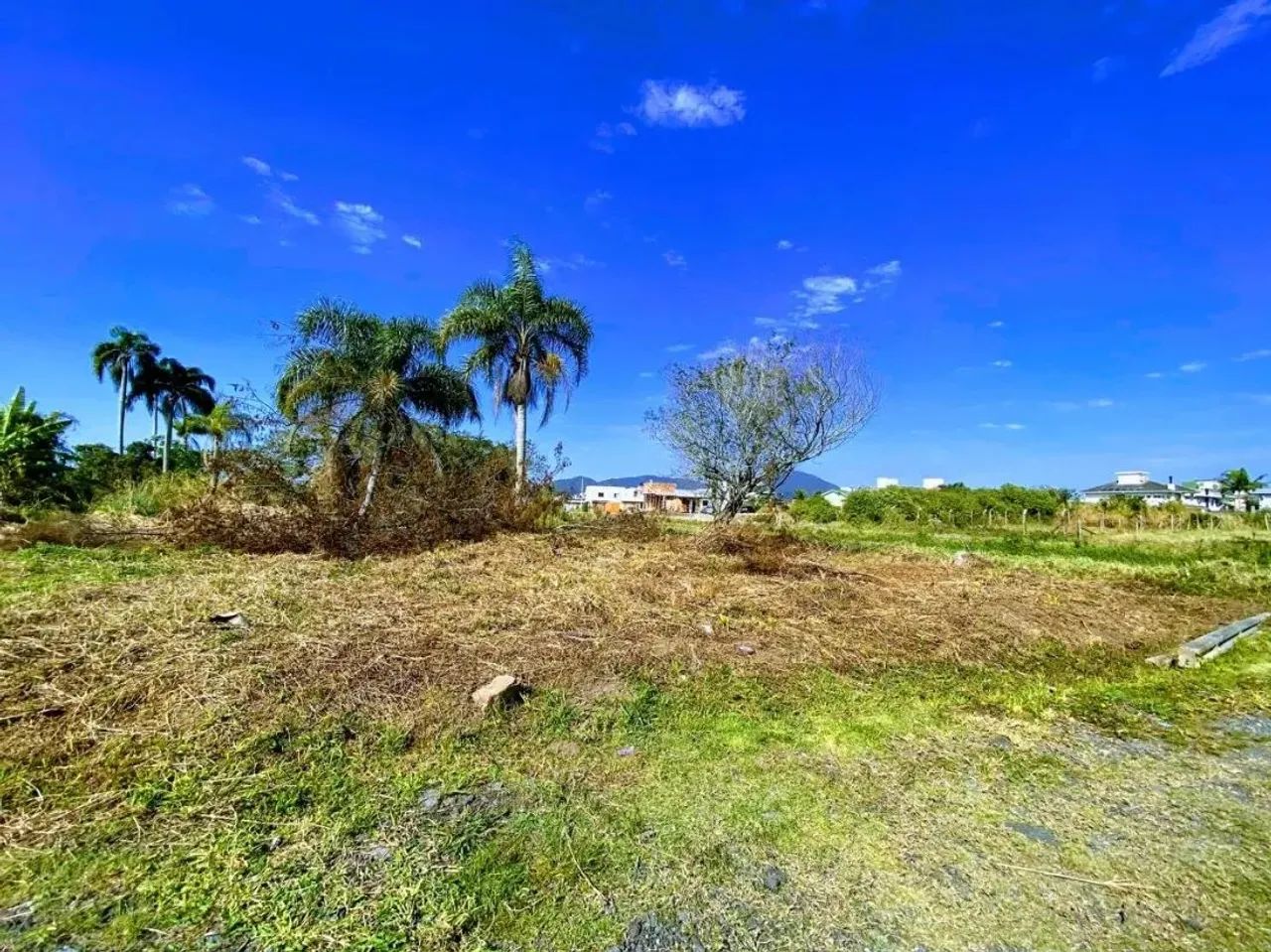 Terreno com 360m2 no Carianos, Florianópolis/SC - Foto 2
