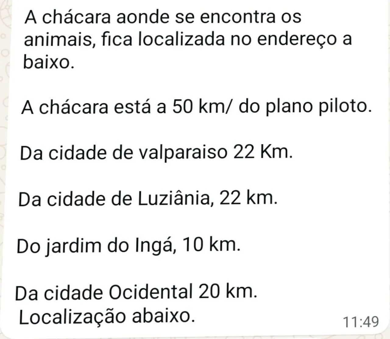 Abóbora Cabotiá á VENDA  - Foto 4