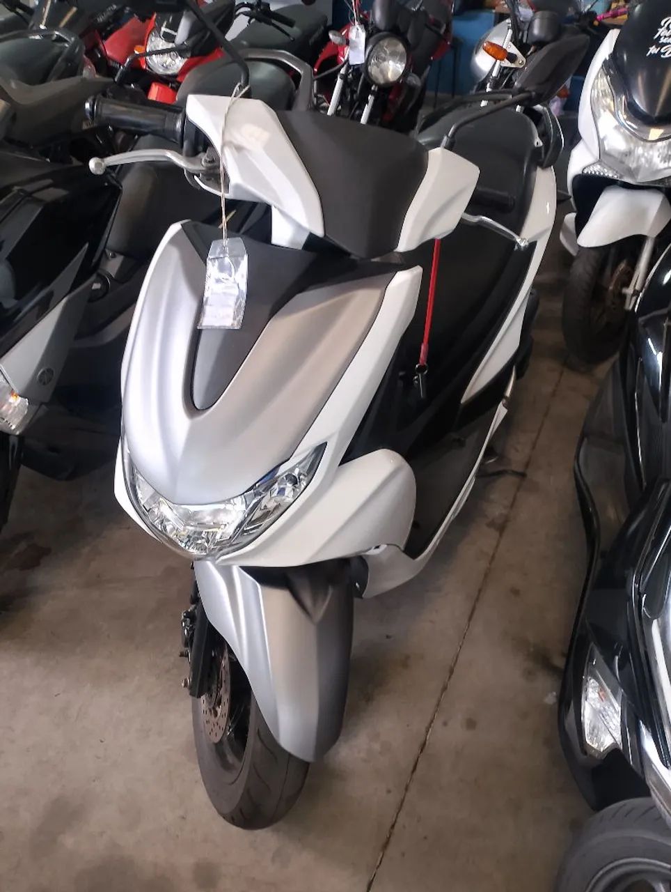 Yamaha FLUO 2022